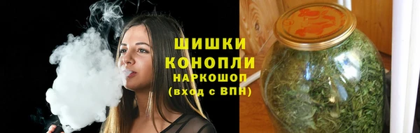 стаф Карпинск