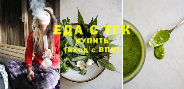 индика Киреевск