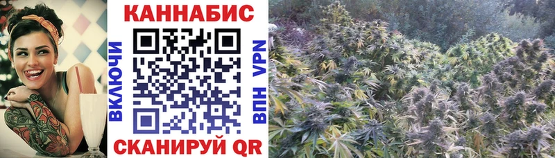 Купить закладки  Поворино  МАРИХУАНА ГИДРОПОН 